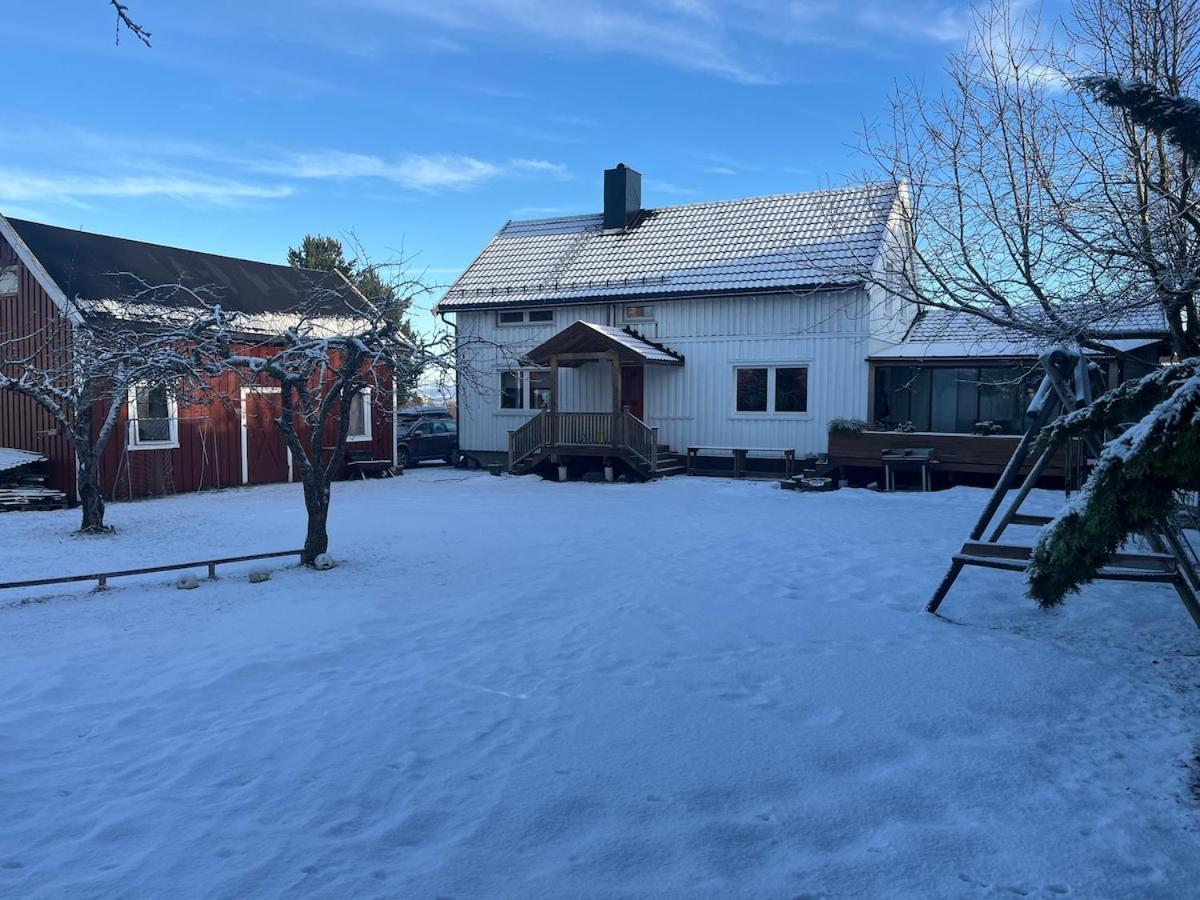 Older Villa With Large Garden Trondheim Extérieur photo