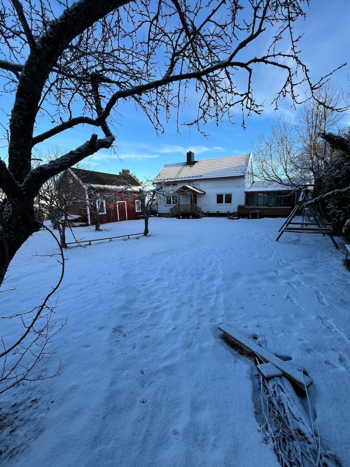 Older Villa With Large Garden Trondheim Extérieur photo